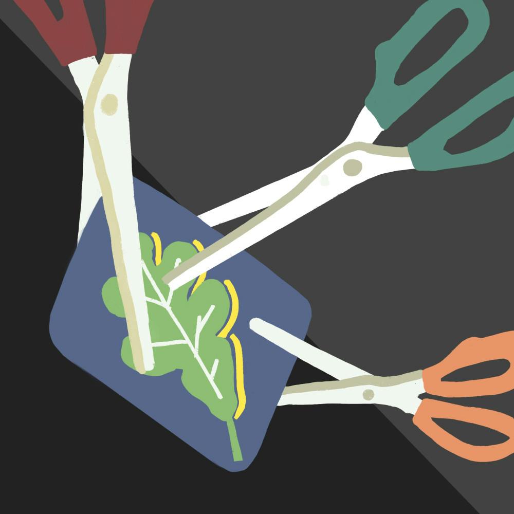 OSI-Funding-Cut-AnushaK