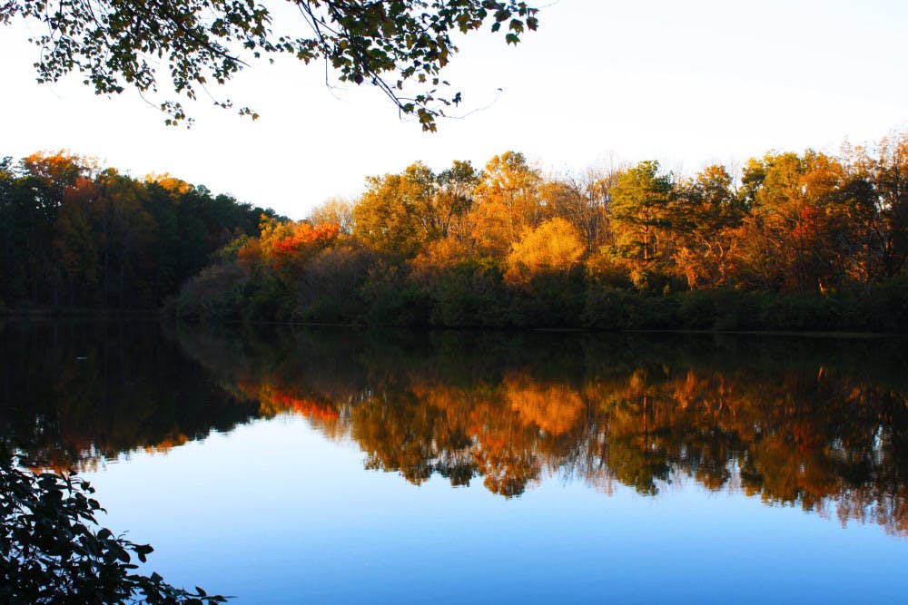 Lullwater_Candler_Lake-scaled