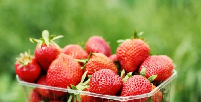 4696886619_8ca167d551_o-e1413877185613