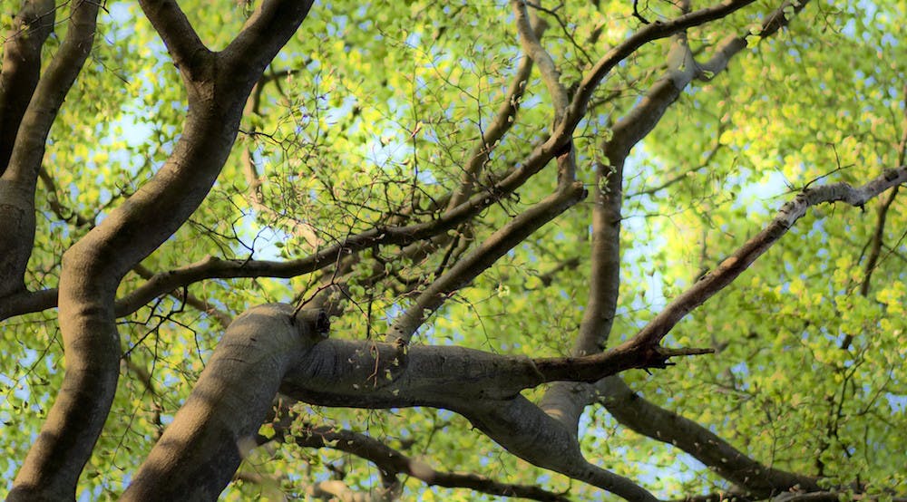 8719343763_e95cb7ecc2_k