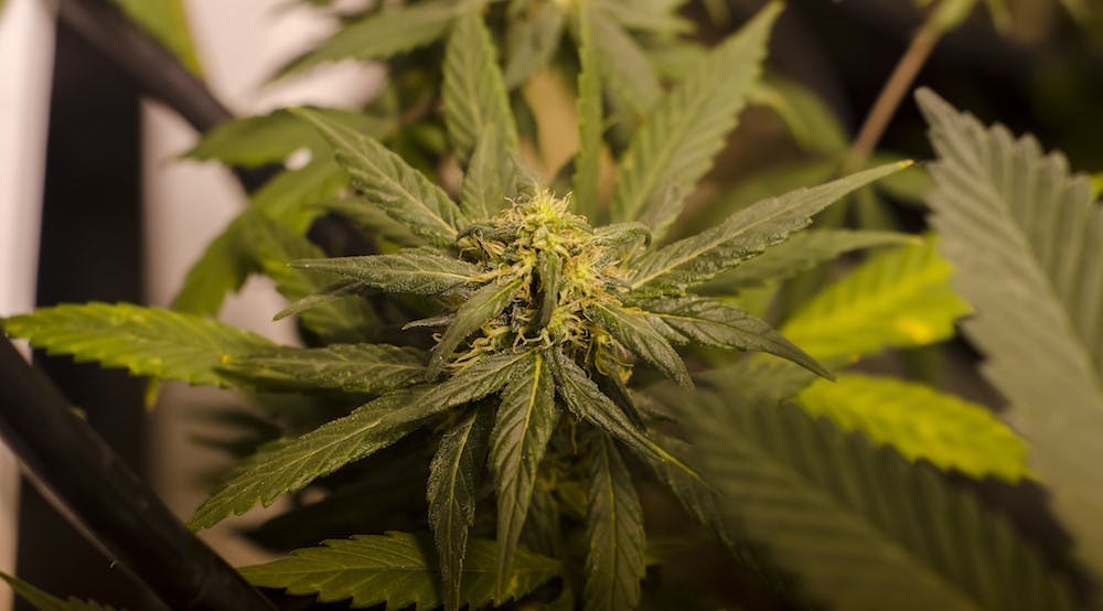 12160800144_f191ed58ed_k1