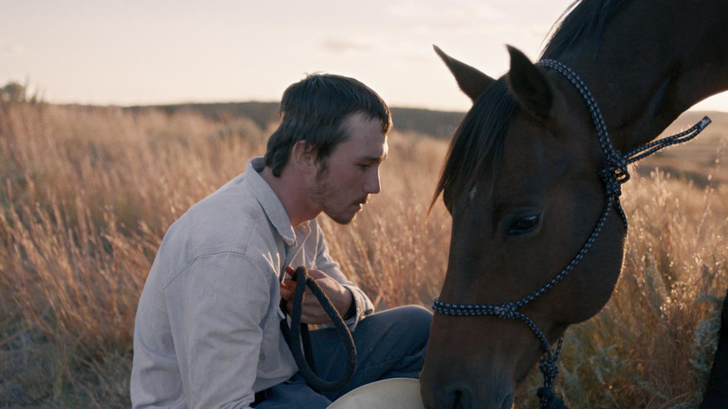 the-rider-dom-TheRider_Stills_00000009_rgb