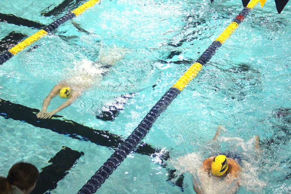 swimdive2_Megan-Yang_contri_CLR-1-scaled