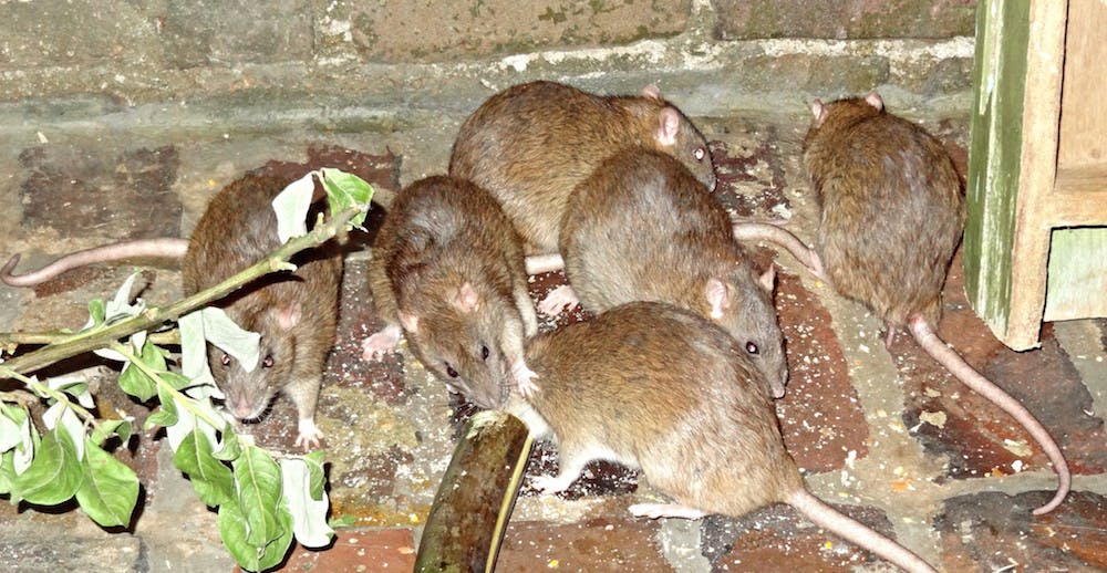 12832943475_471aac630d_k