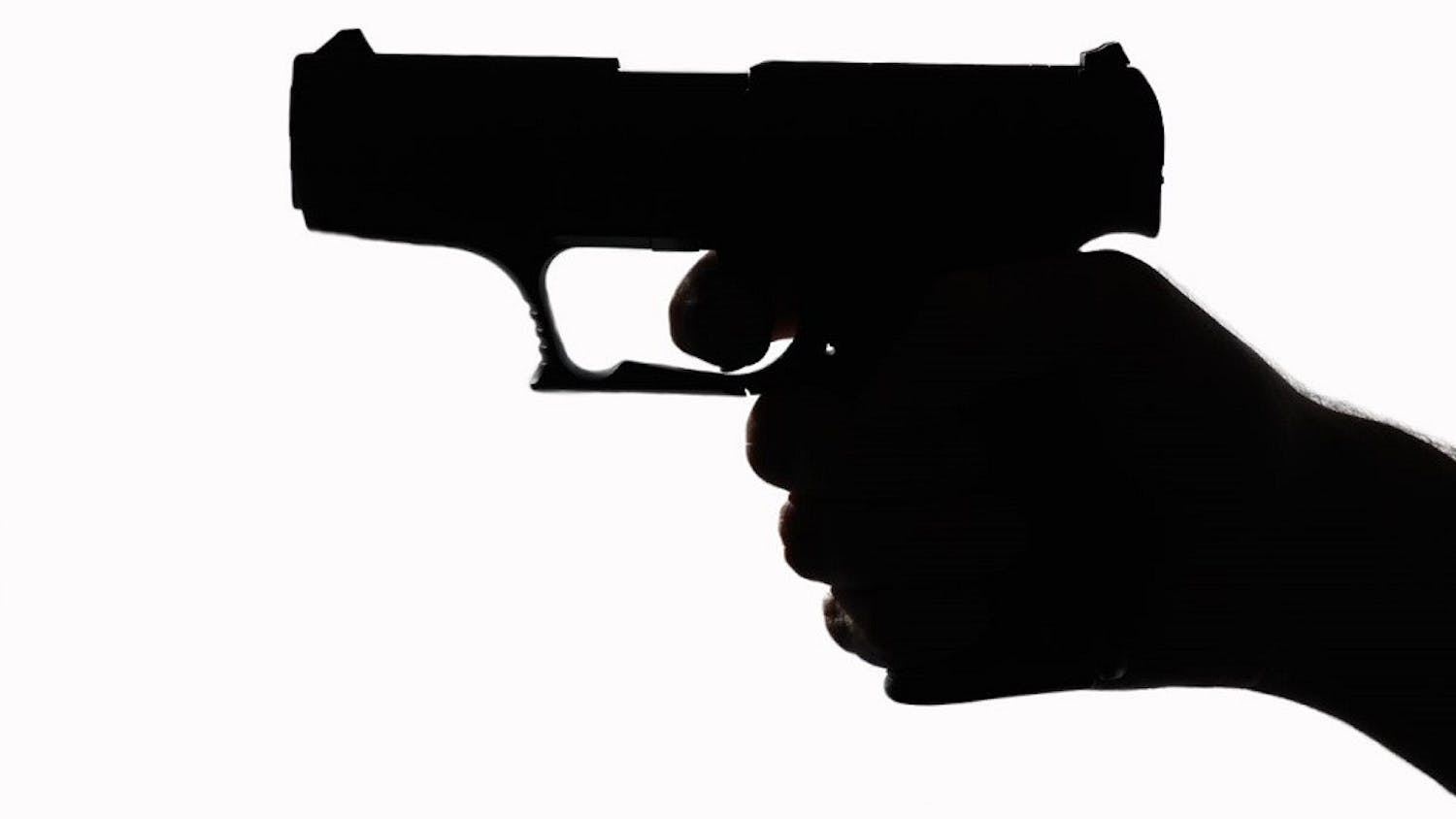 Gun