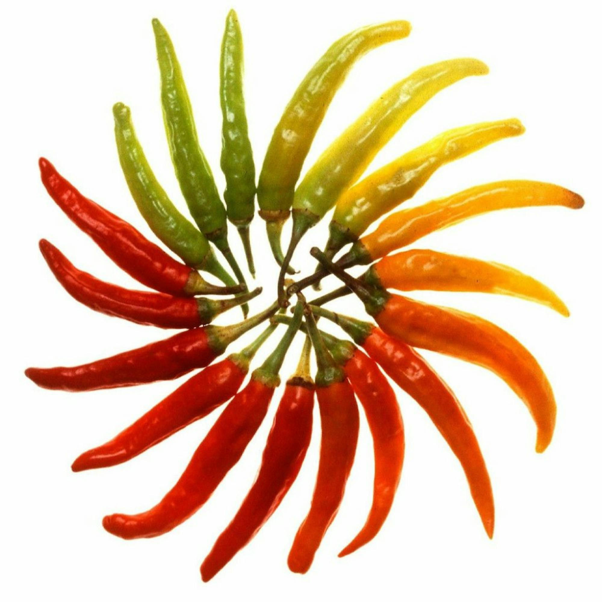 paprika-8862_1280-1024x1024