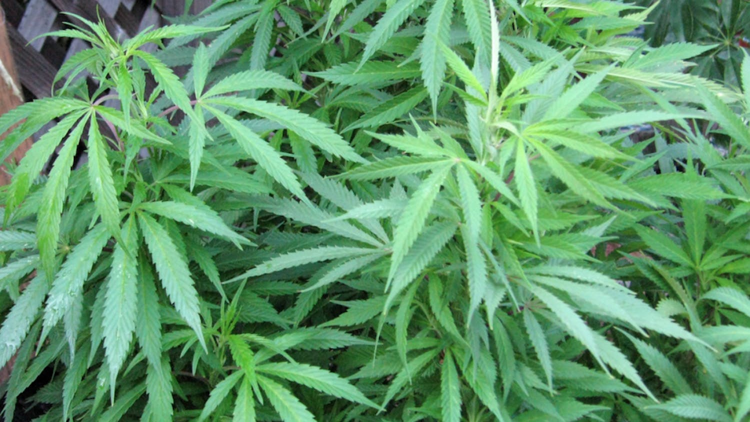 Screen-Shot-2022-11-13-at-4.01.18-PM