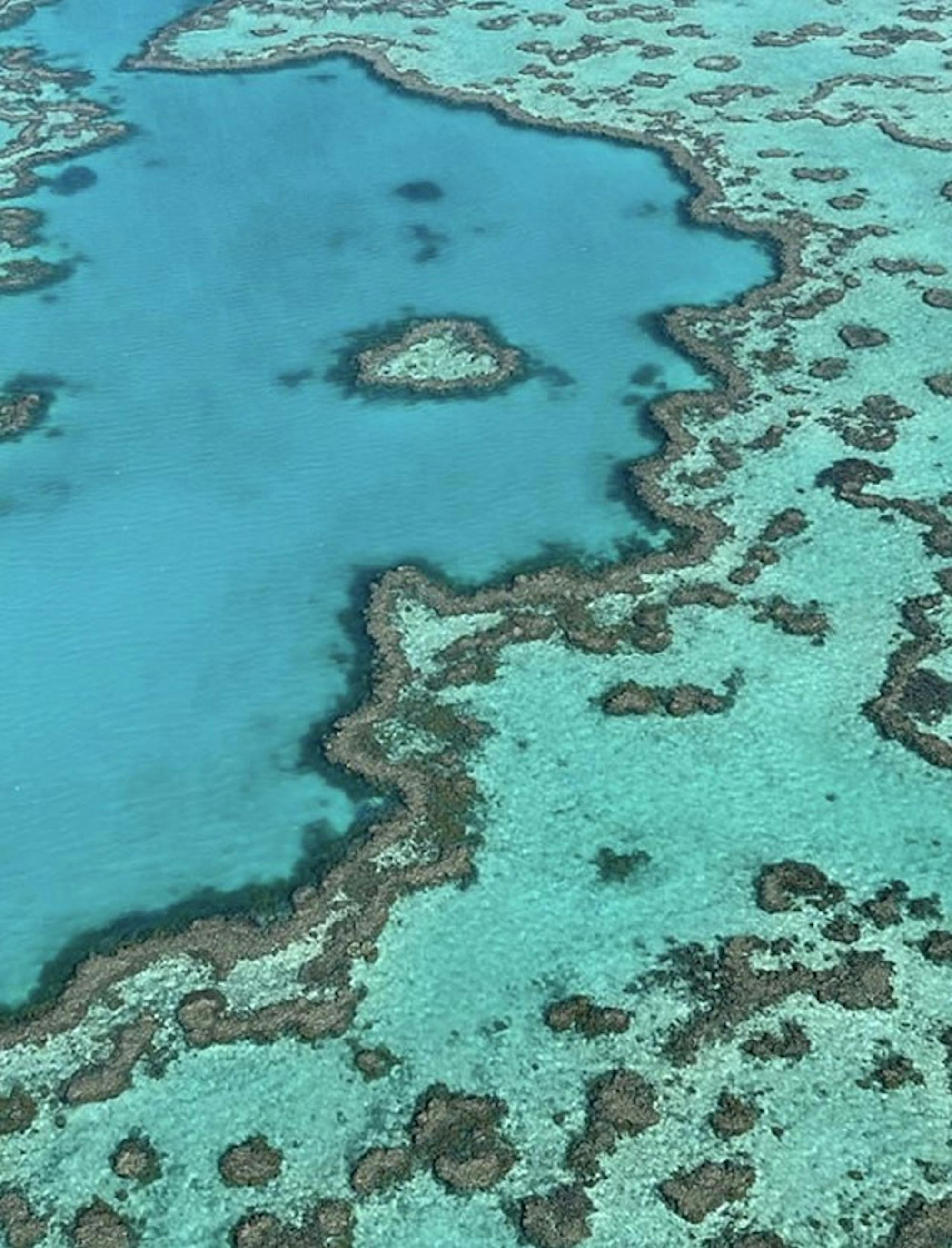 Heart_Reef_and_Lagoon_Great_Barrier_Reef