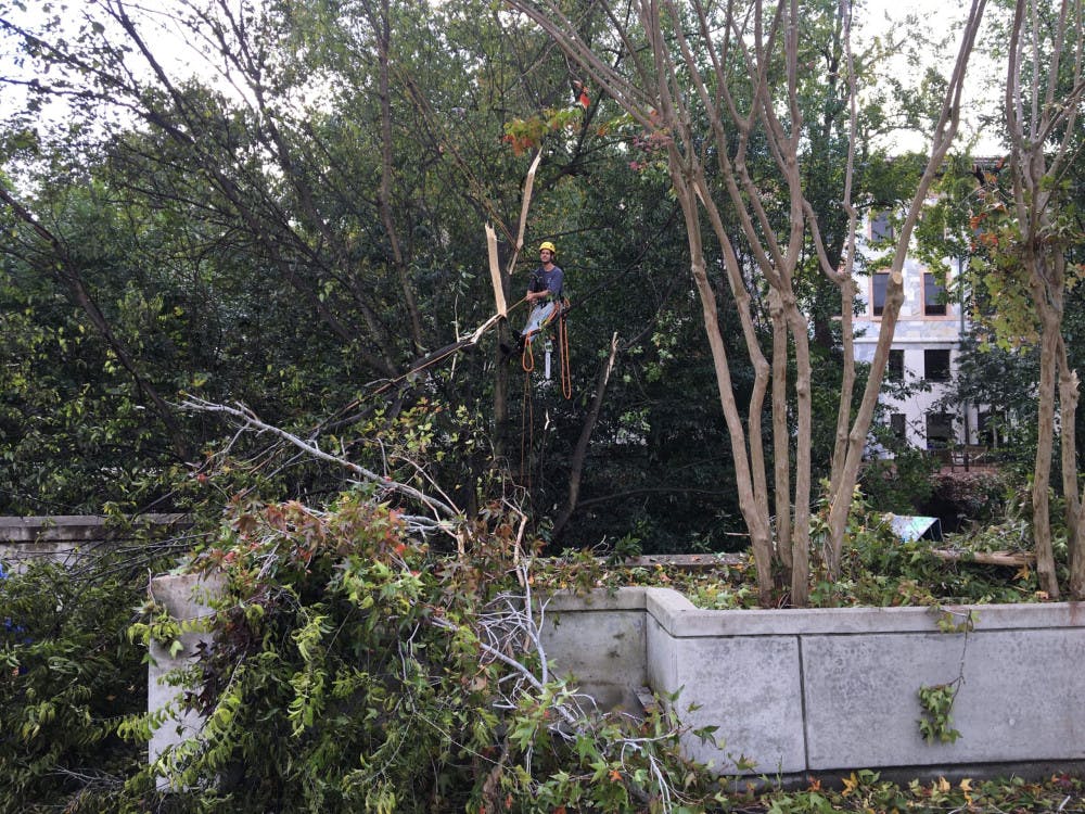 Image-from-iOS-2-scaled