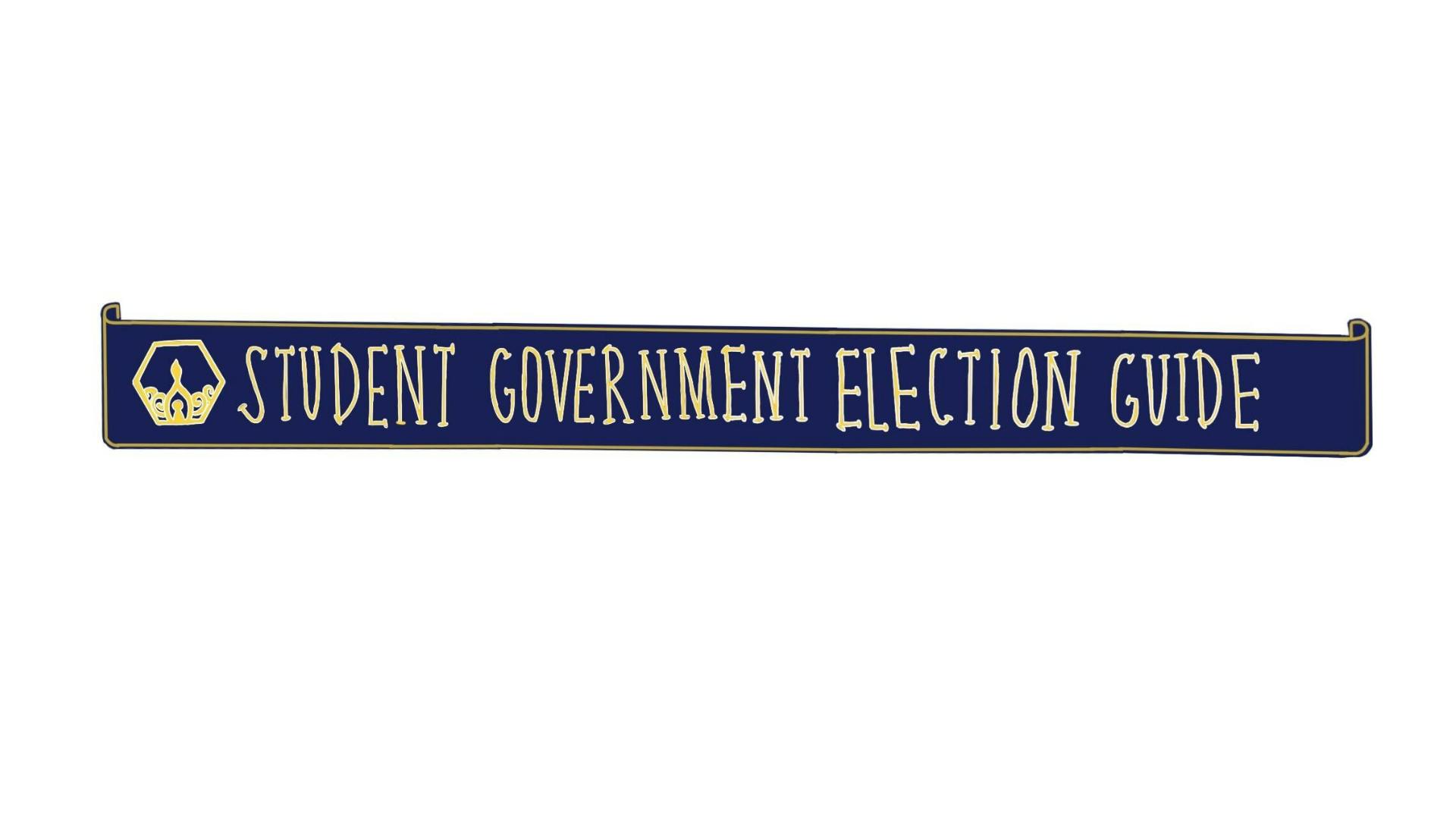 Student Government Election Banner