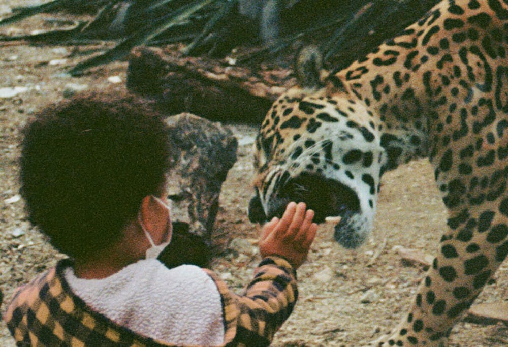 a2417336885_10-e1680163870378