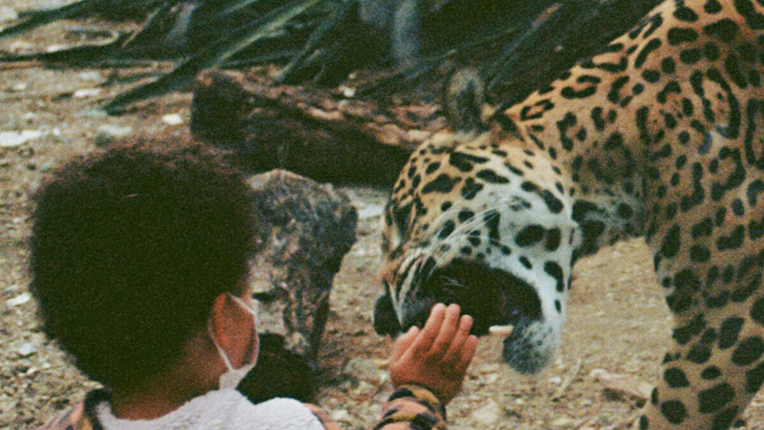 a2417336885_10-e1680163870378