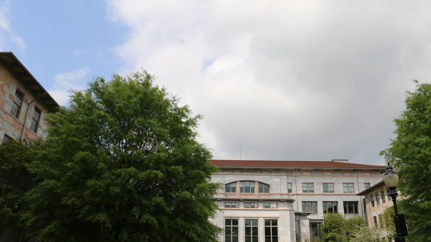 School of Medicine_Hayley Powers.jpg