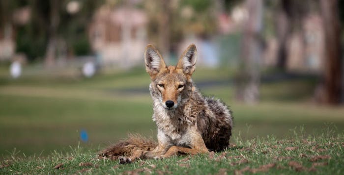 5850114465_abdd12623b_b-e1421985783377