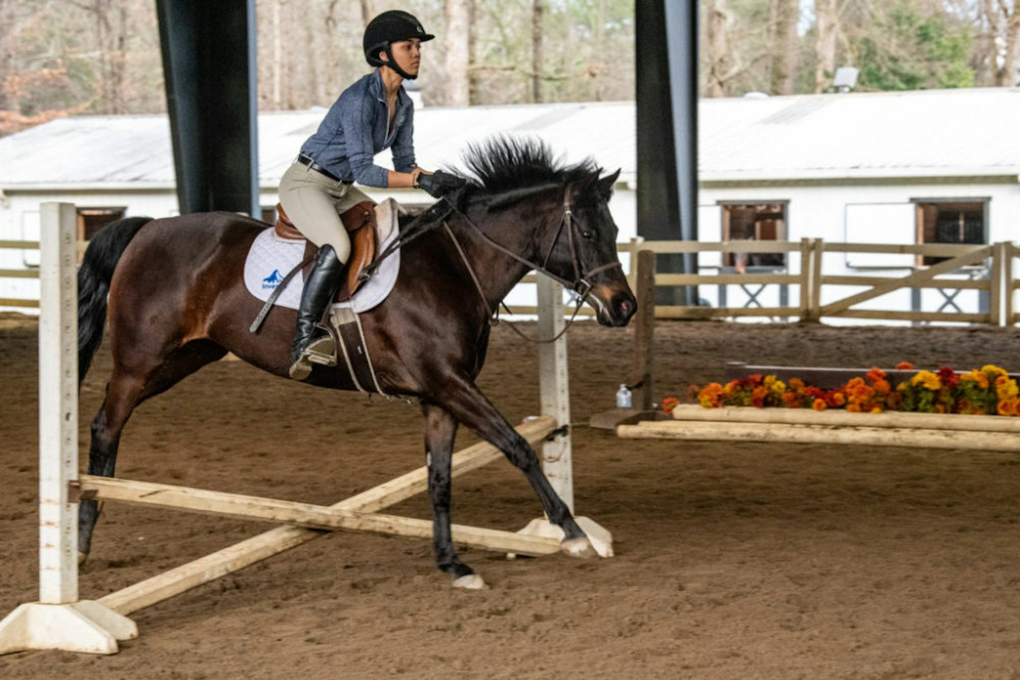 Equestrian_Team-26-Priyam-Mazumdar-Contri-ONLINE-1-1-1024x683