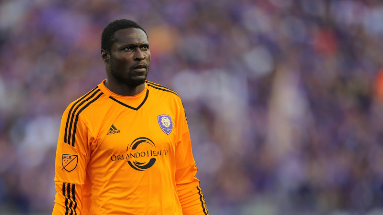 Screen-Shot-2016-06-27-at-7.28.25-PM