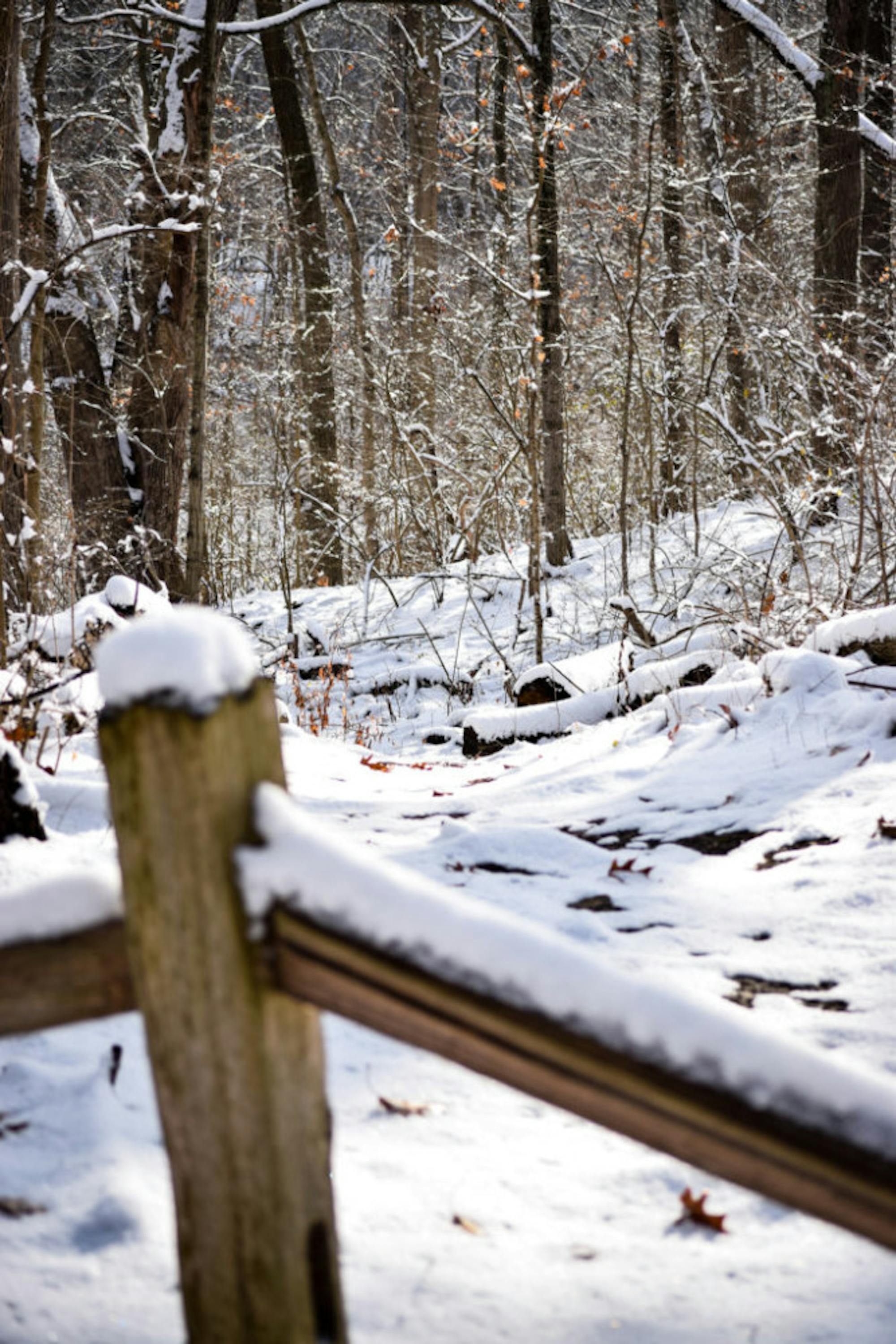 Snow in Rockafield Cemetery | Photo by Jessica Fugett | The Wright State Guardian