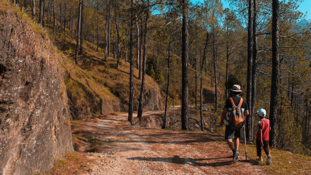 Three Places to go Summer Hiking in Ohio - Wright State Guardian