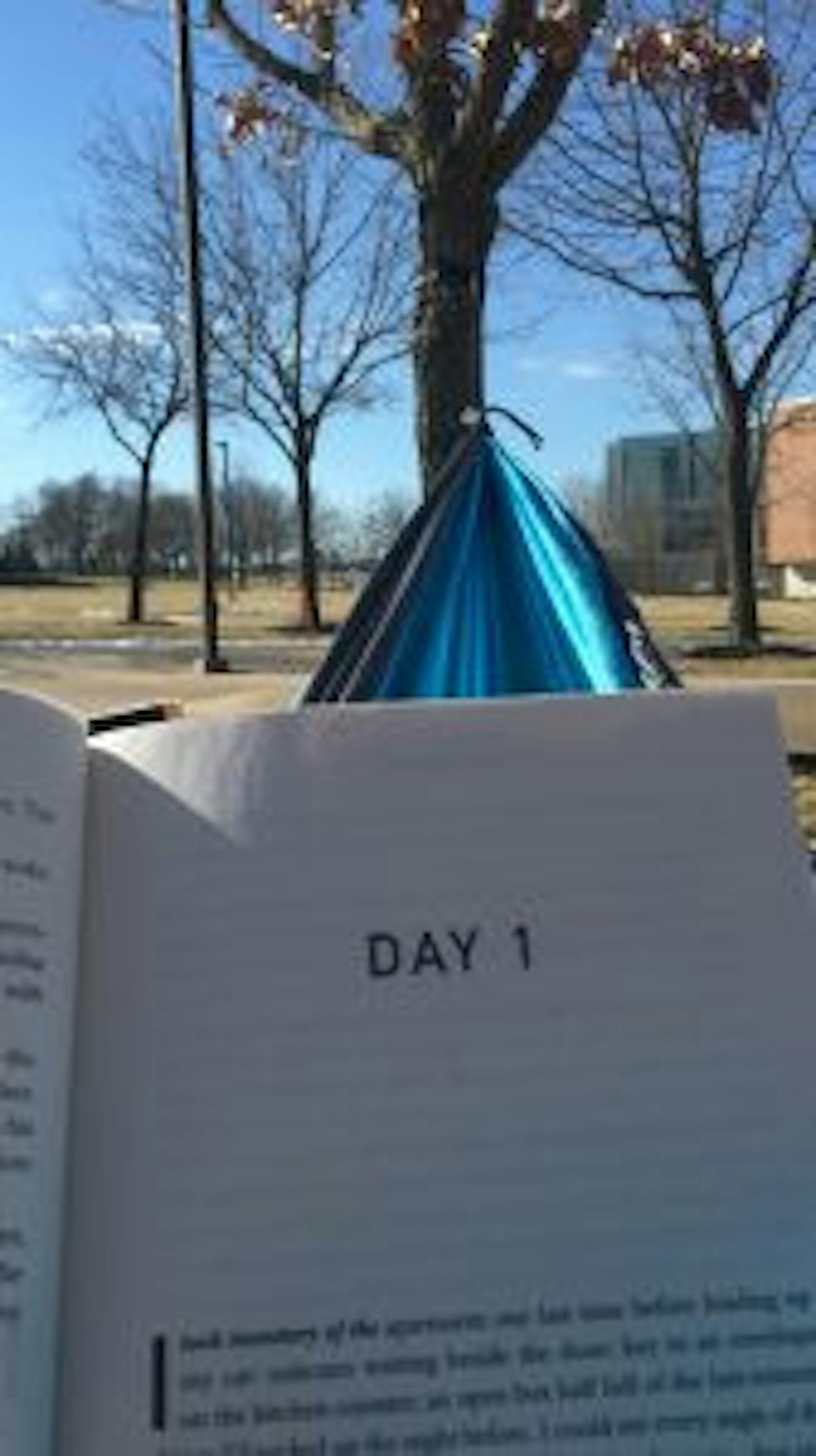 Hammocking on campus. Photograph: Jamie Penwell/The Guardian.