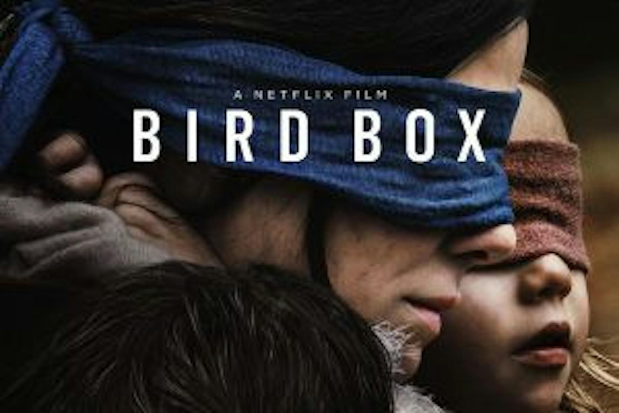 BirdBox_Verical_Main_PRE_UK.0-300x200