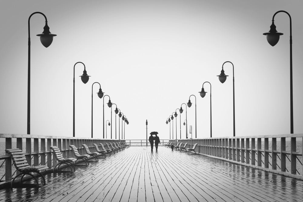 affection-benches-black-and-white-220836