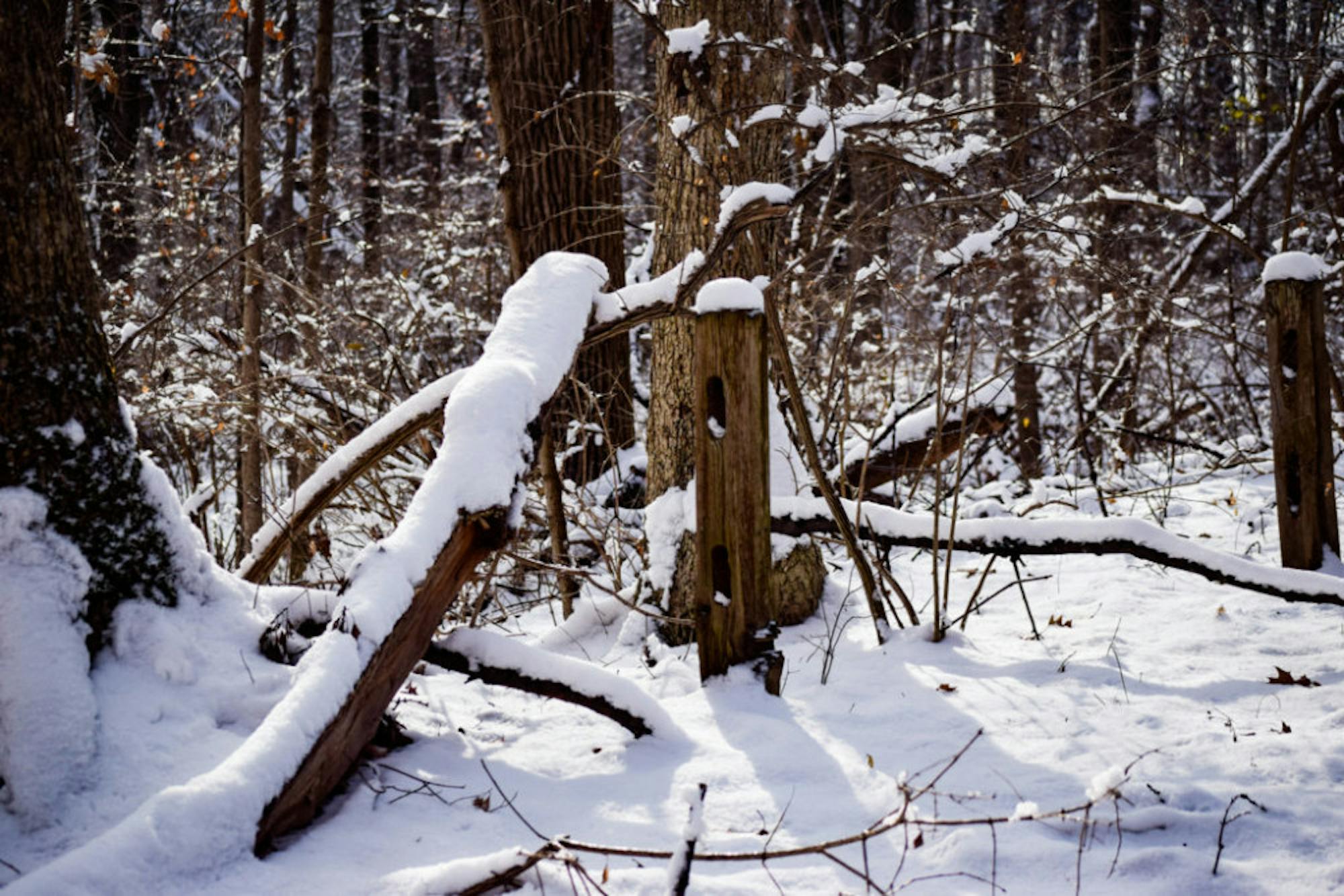 Snow in Rockafield Cemetery | Photo by Jessica Fugett | The Wright State Guardian