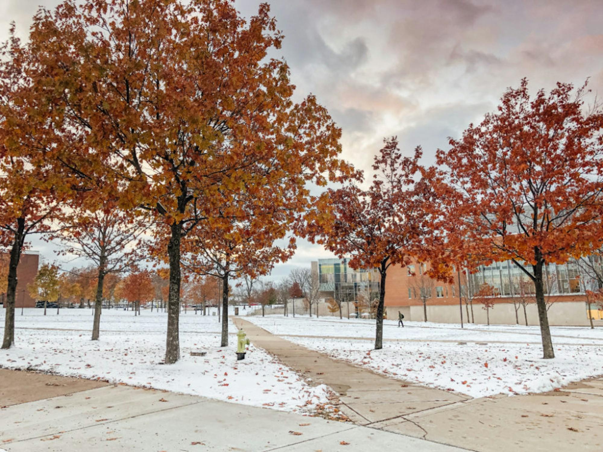 Wright State campus after first snowfall of the season | Photograph by Soham Parikh | The Wright State Guardian