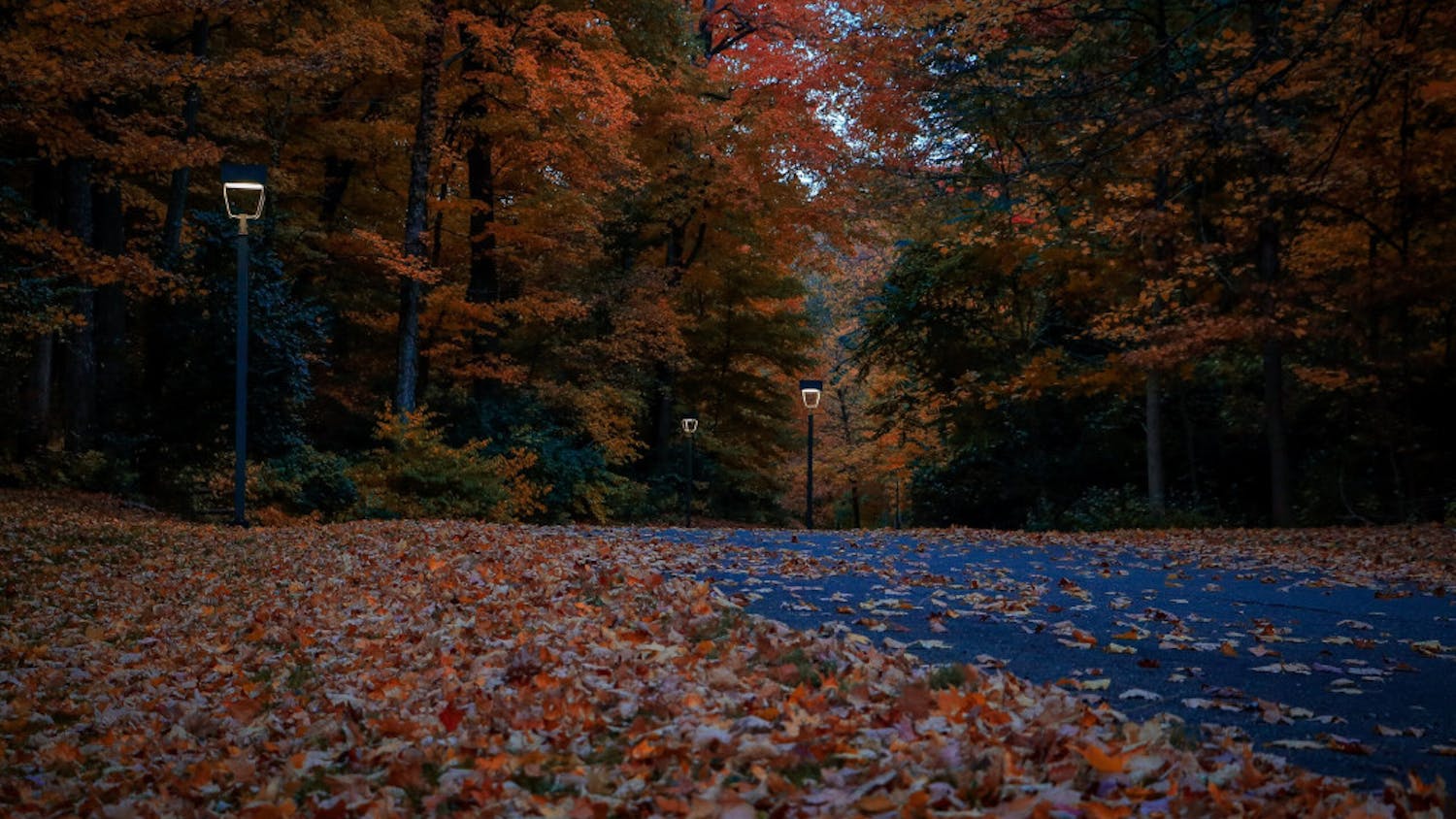 20221016195126__U6A1508-1-scaled