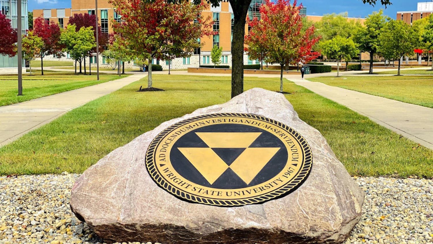 IMG_5335_Original-scaled