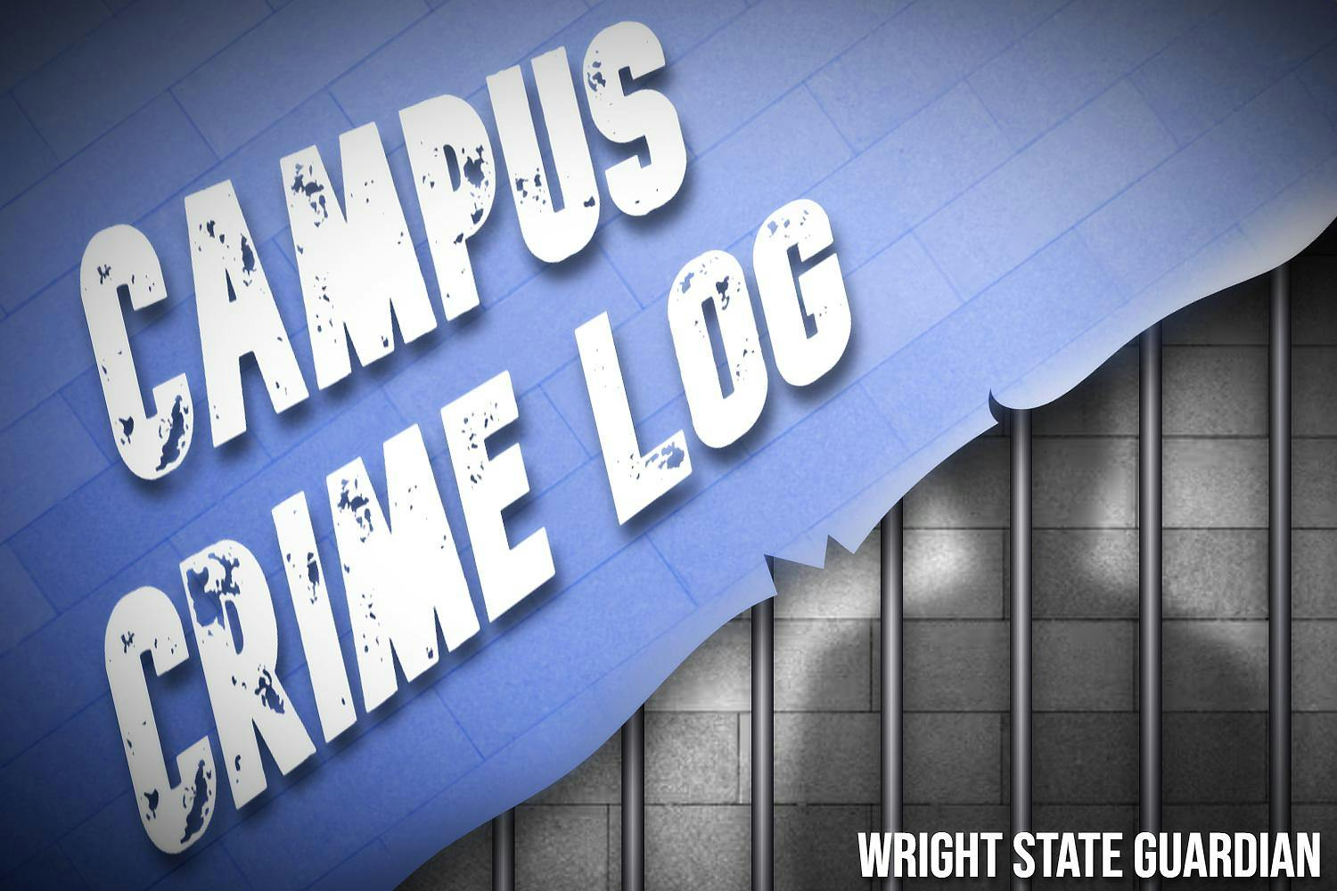 New Crime Log Graphic.jpg