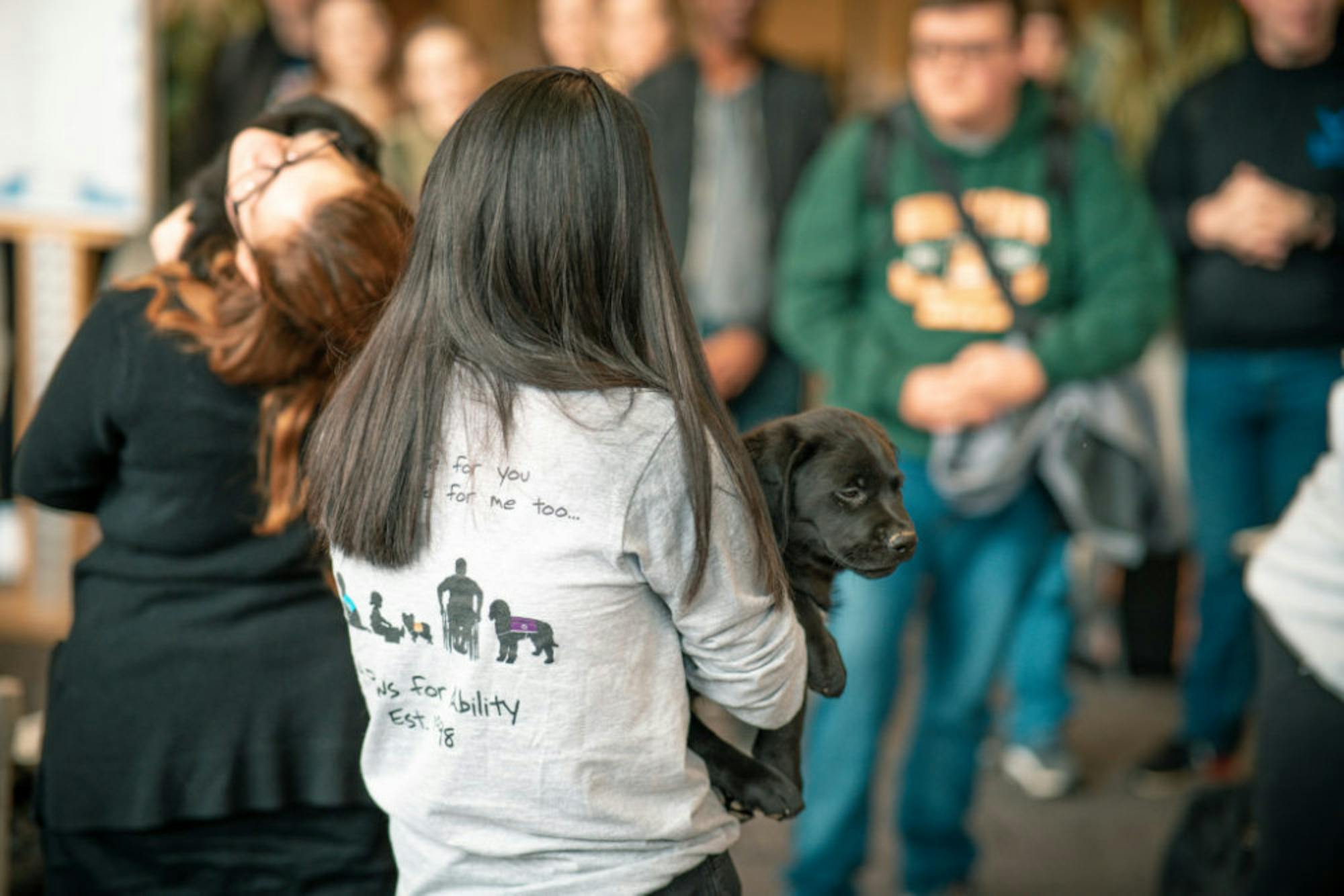 Fuzz Therapy | Photo by Soham Parikh | The Wright State Guardian