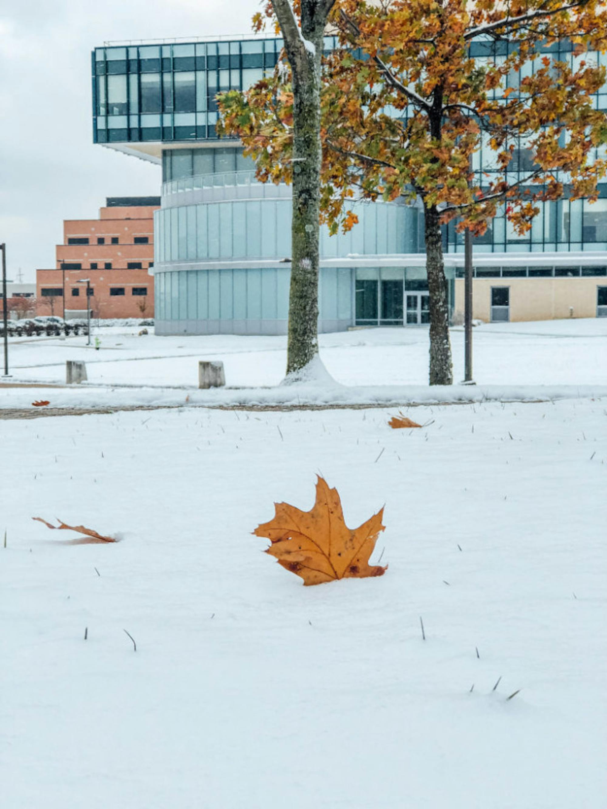 Wright State campus after first snowfall of the season | Photograph by Soham Parikh | The Wright State Guardian