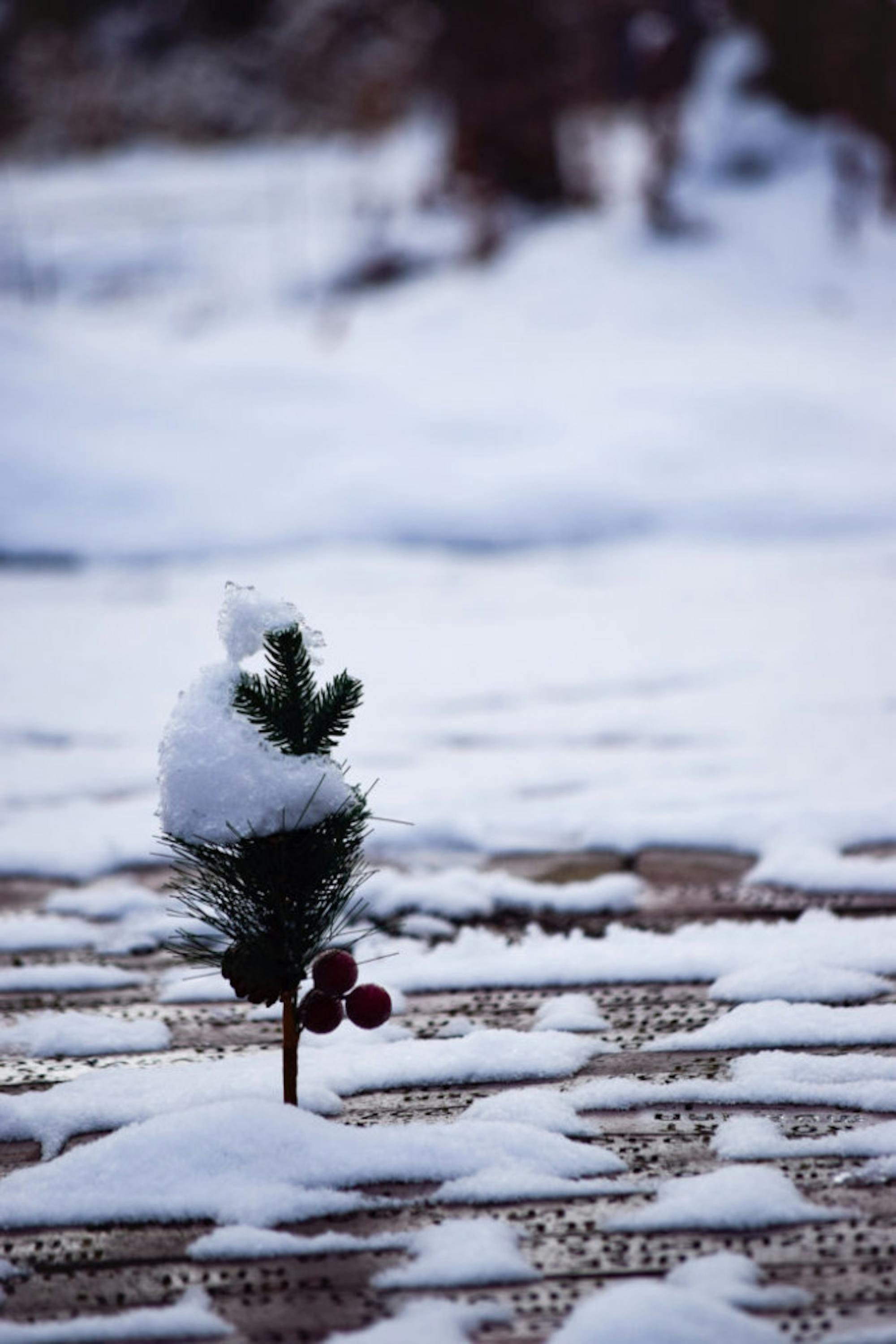 Snow in Rockafield Cemetery | Photo by Jessica Fugett | The Wright State Guardian