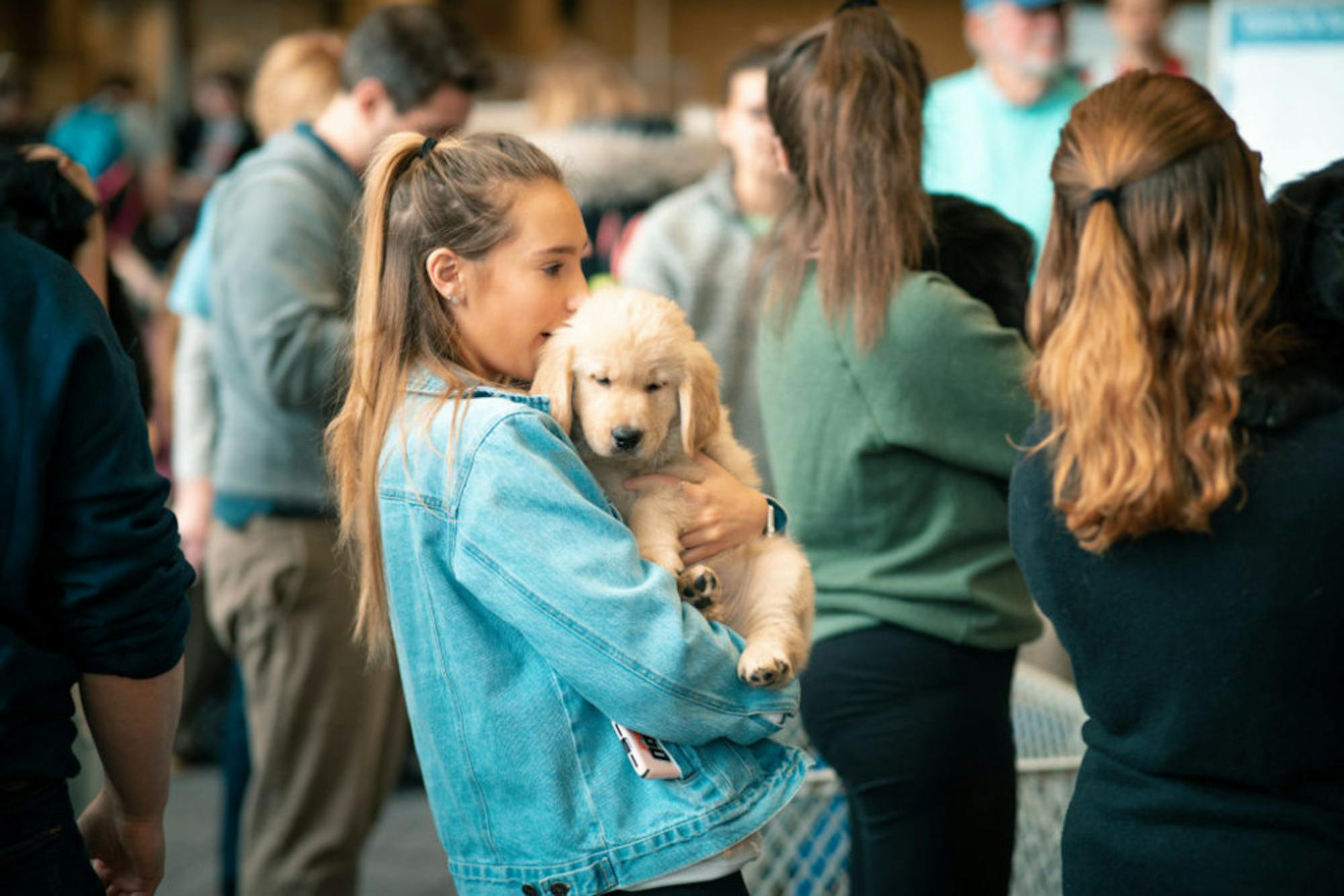 Fuzz Therapy | Photo by Soham Parikh | The Wright State Guardian