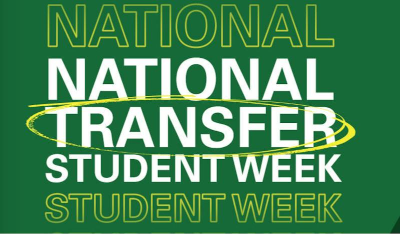National Transfer Week: The Facts of Transferring to Wright State