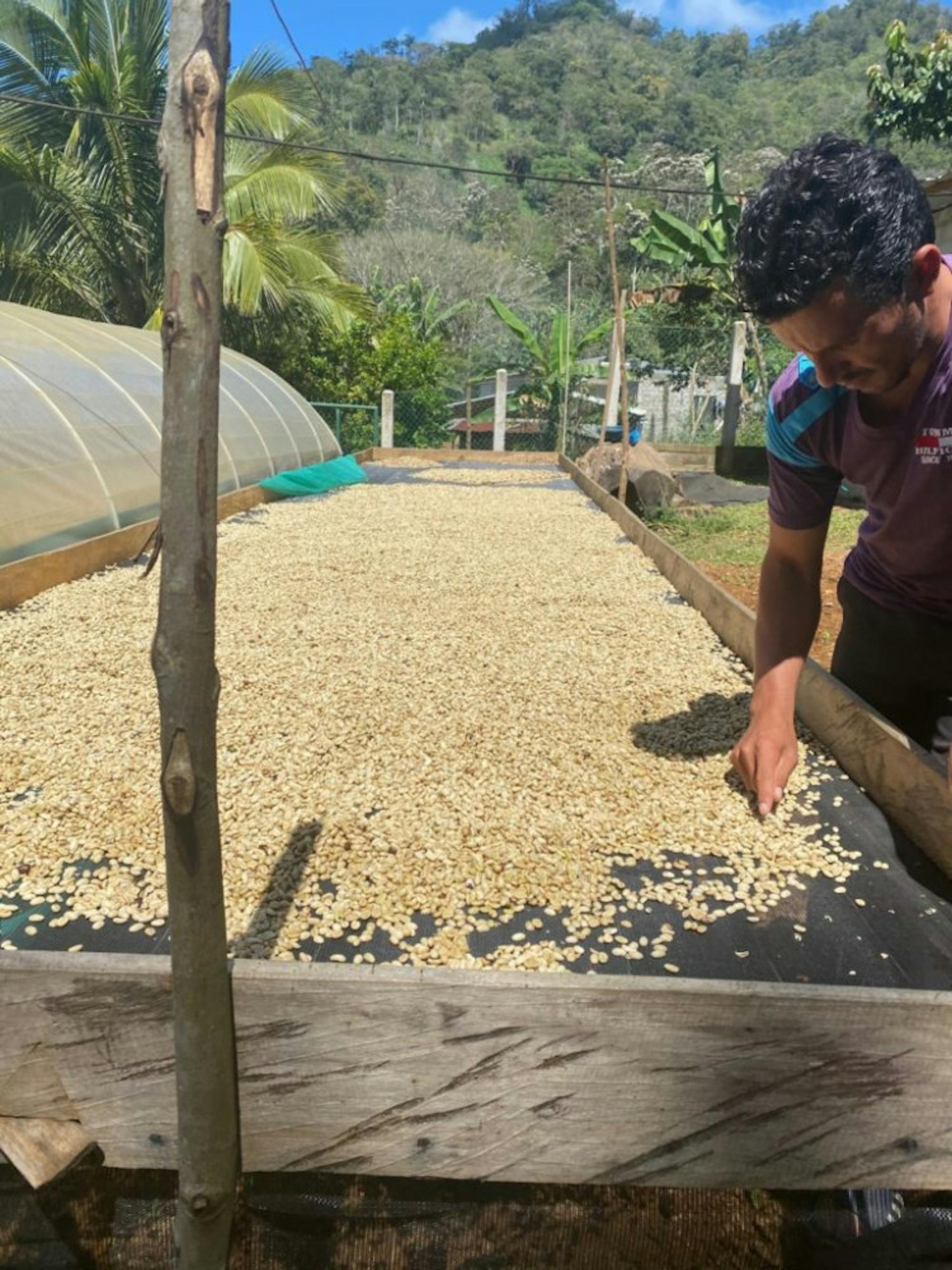 Honduras | Photograph provided by Maia Anderson, CMO of ReyRey Café