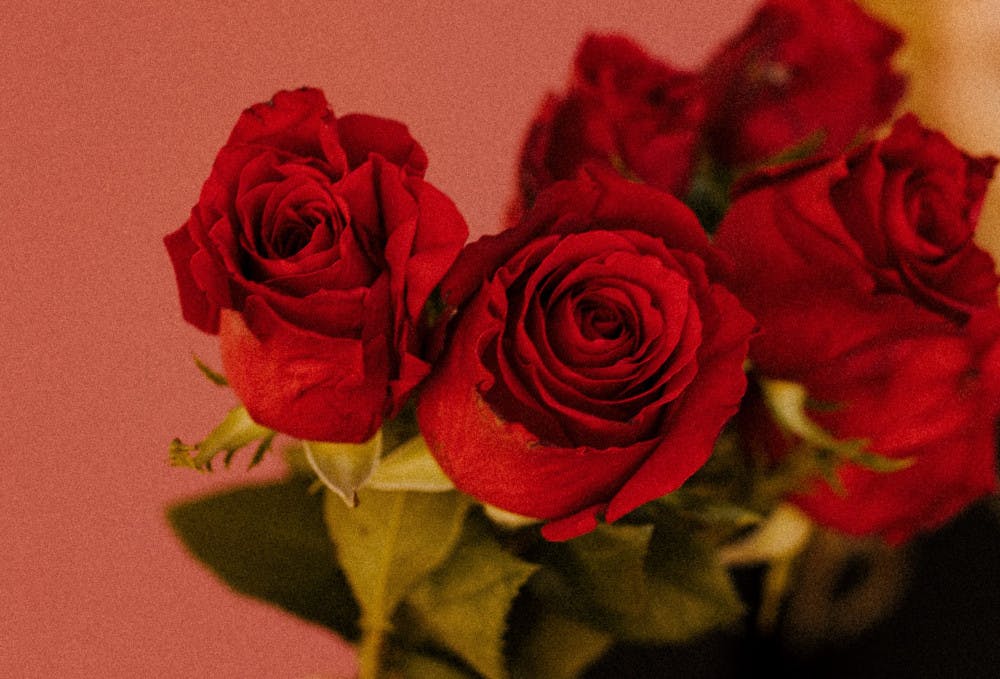 20498313fb7c6f128a9a024a239e35b3fd160b5d