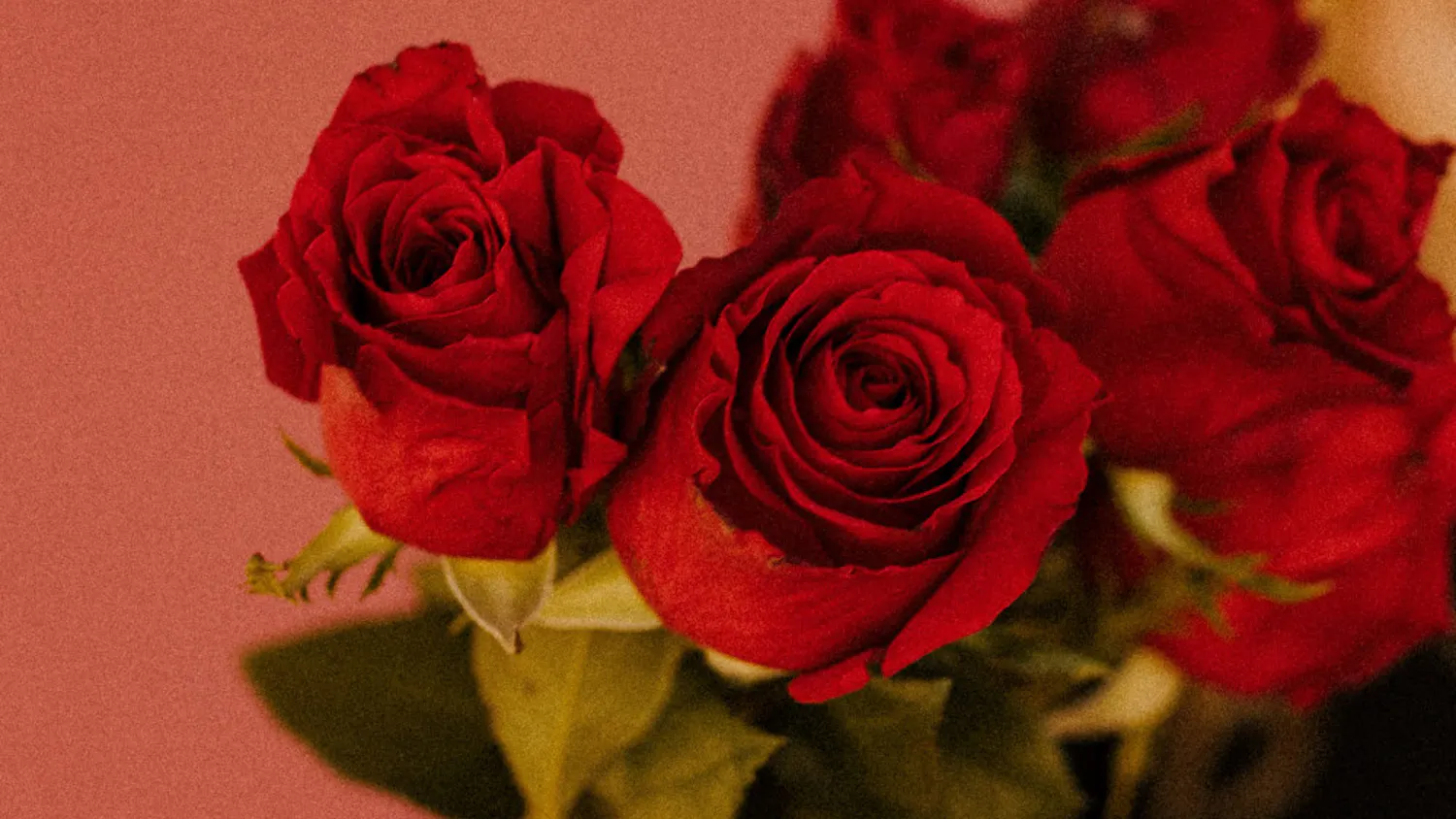 20498313fb7c6f128a9a024a239e35b3fd160b5d