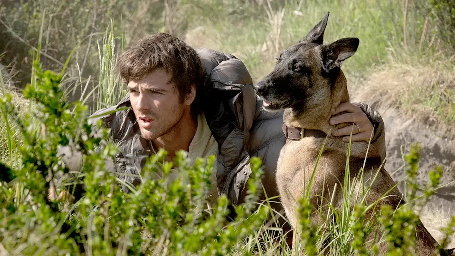 Jacob Elordi and his affable pet in "The Dog Stars." Courtesy of 20th Century Studios