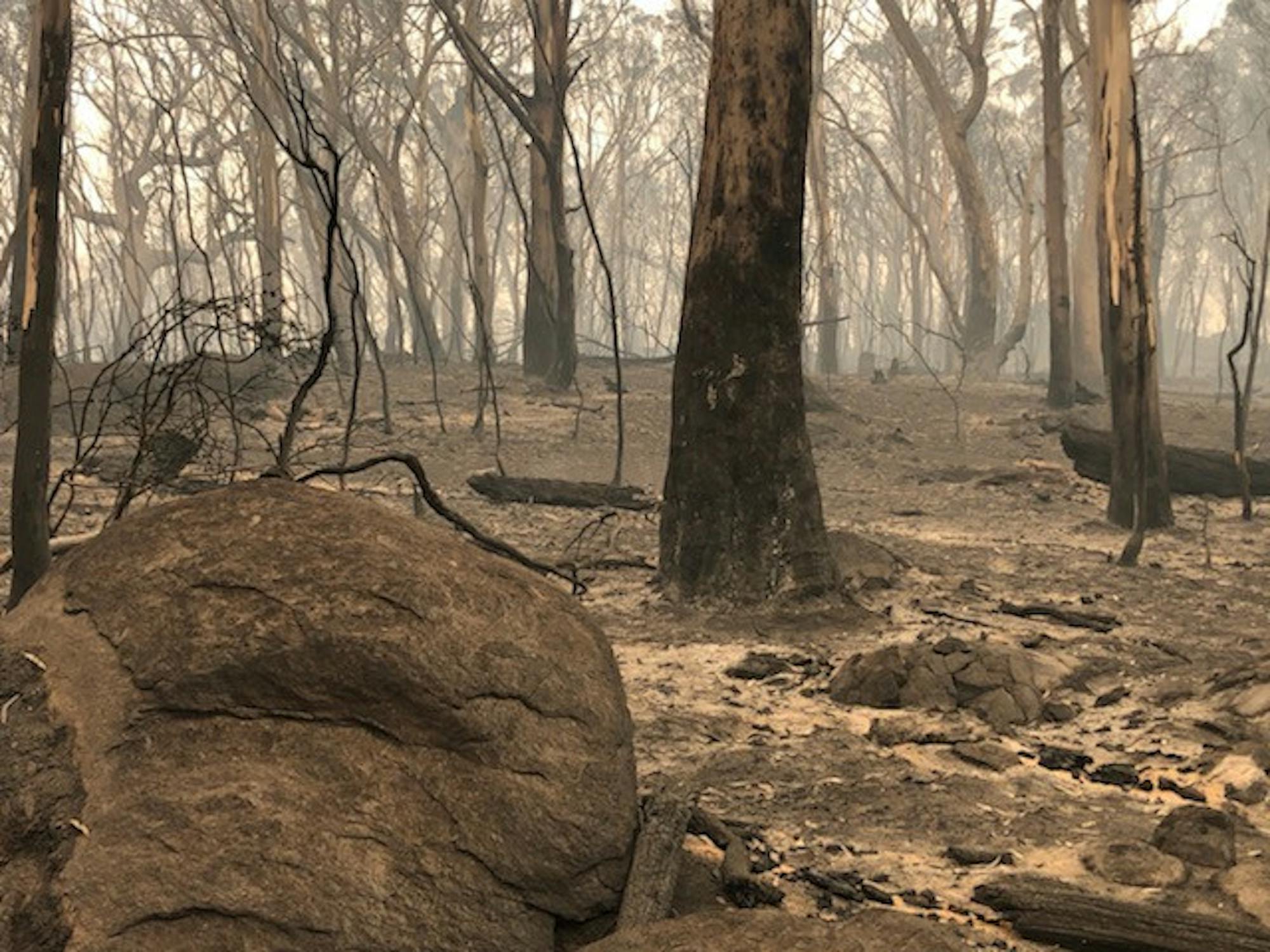 Captain Glenn Squire, Country Fire Authority New South Wales