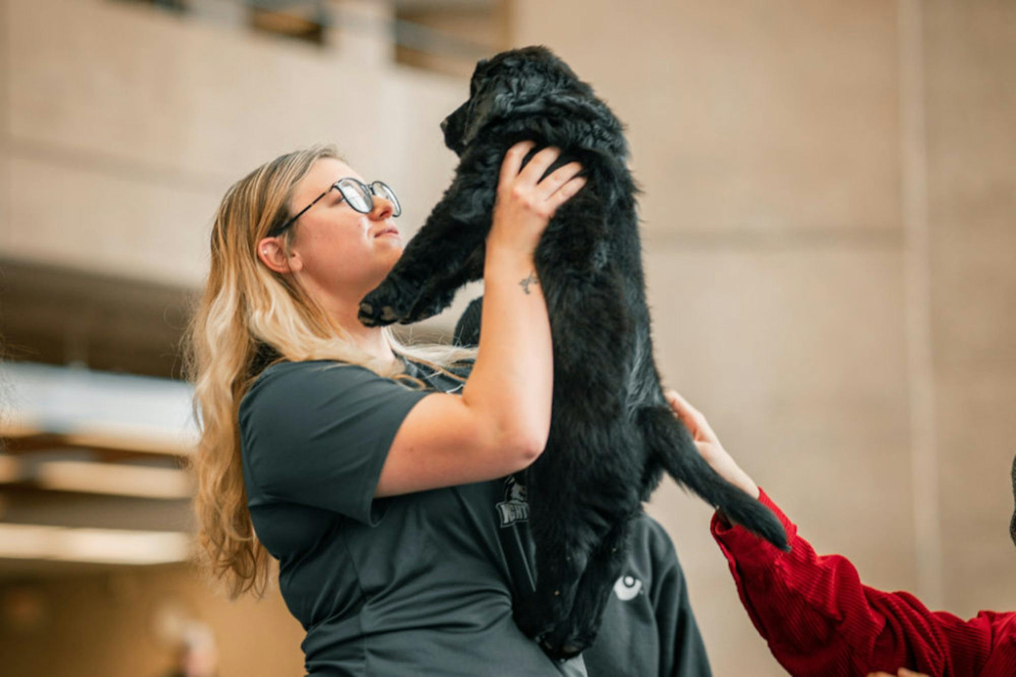 Fuzz Therapy | Photo by Soham Parikh | The Wright State Guardian