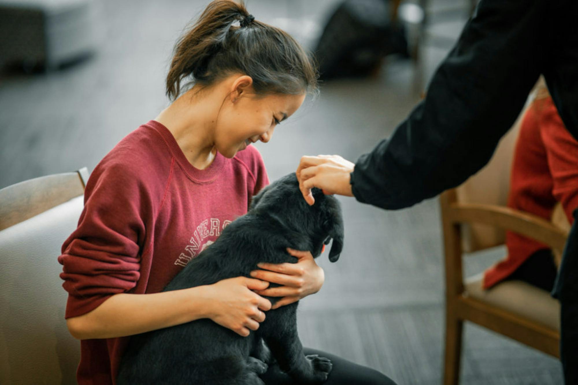 Fuzz Therapy | Photo by Soham Parikh | The Wright State Guardian