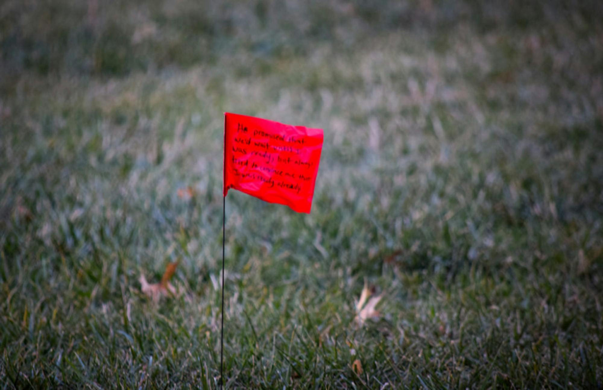 Domestic Violence Awareness Week | Photo by Jessica Fugett | The Wright State Guardian