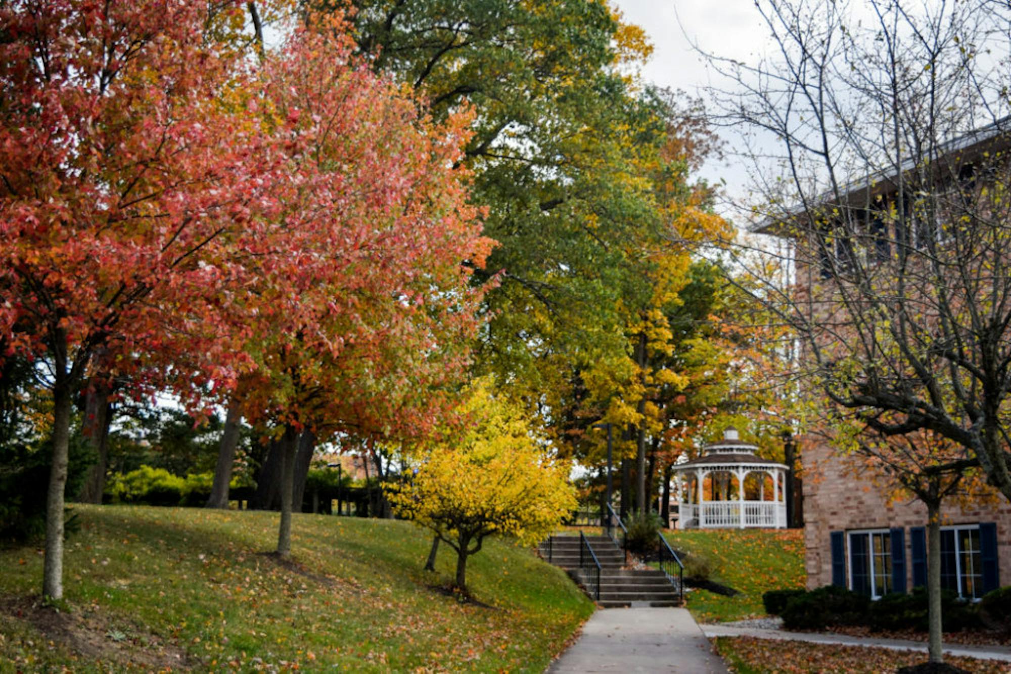 Fall on Campus | Photo by Jessica Fugett | The Wright State Guardian