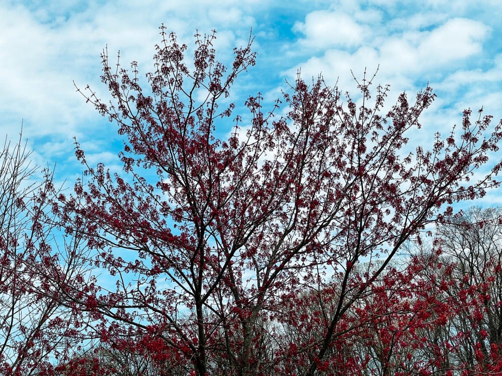 Nature-scaled