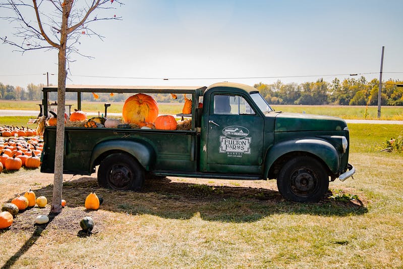 50433667532_2160d668b2_c