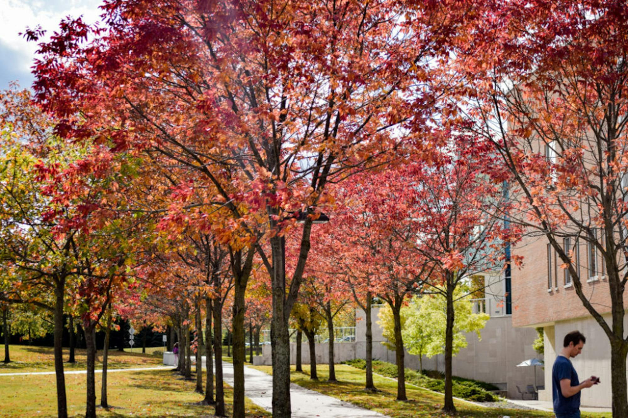 Fall on Campus | Photo by Jessica Fugett | The Wright State Guardian