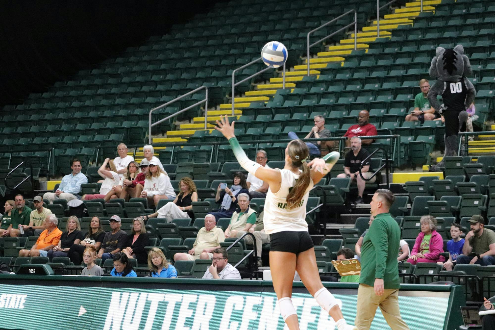 WSU Serve