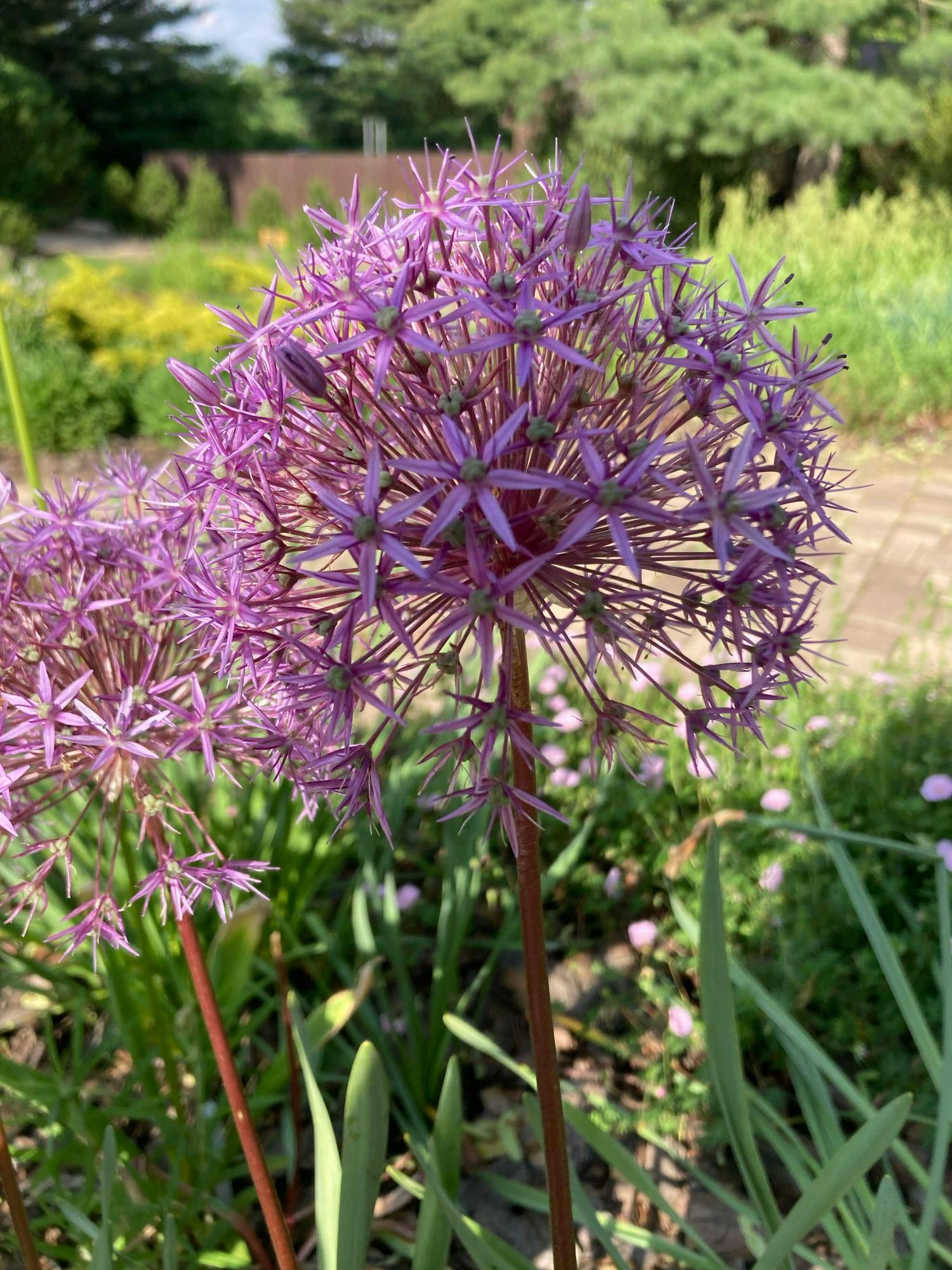 IMG_8347_Original (1).jpg