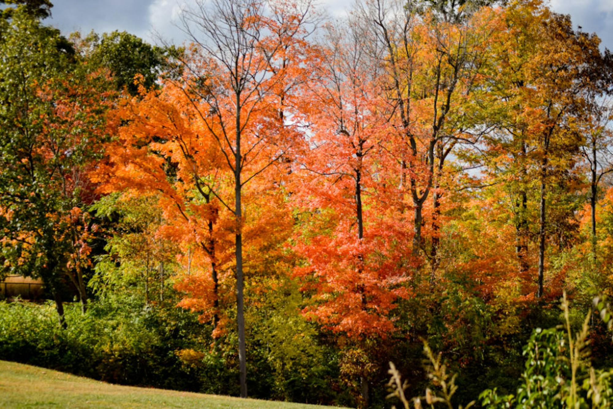 Fall on Campus | Photo by Jessica Fugett | The Wright State Guardian